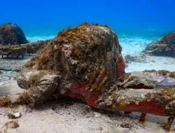 Cancún Underwater Art Museum and Manchones Coral Reef: Snorkeling Tour